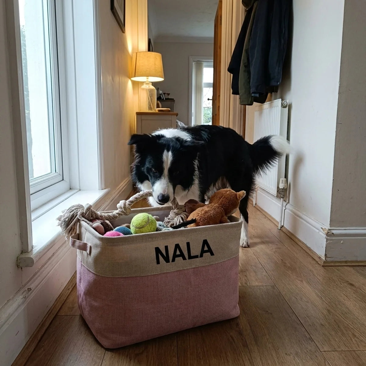 Coffre à jouets rose au prénom du chien dans une entrée