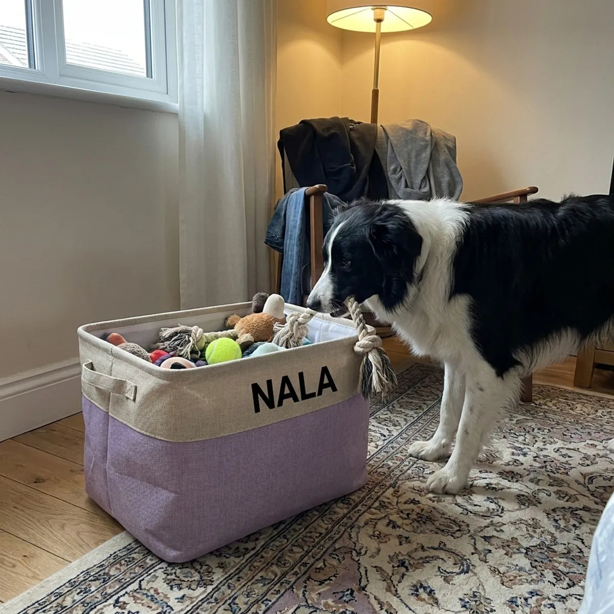 Coffre à jouets lavande au prénom du chien dans une chambre
