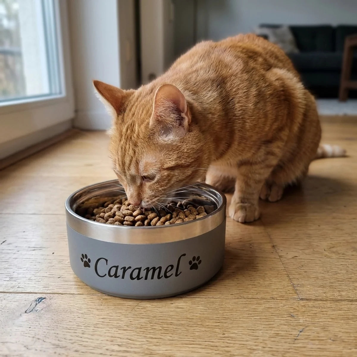 Gamelle inox grise au prénom du chat près d une fenêtre