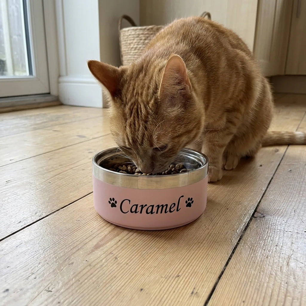 Chat roux qui mange dans sa gamelle inox rose à son prénom