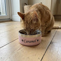 Chat roux qui mange dans sa gamelle inox rose à son prénom
