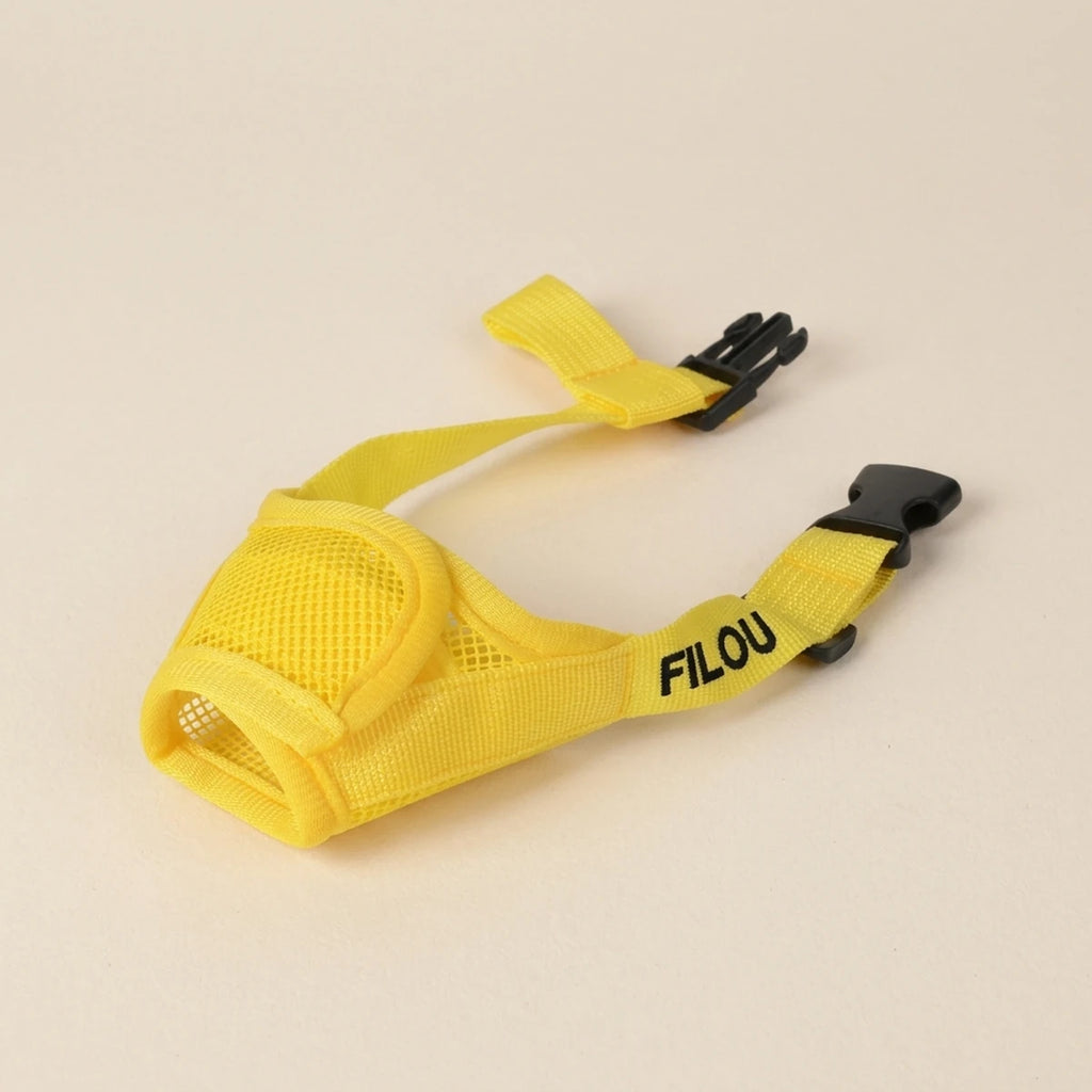 Muselière pour chien jaune en maille avec prénom brodé sur la sangle