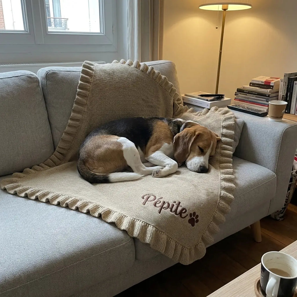 Beagle endormi sur son plaid beige brodé à son prénom